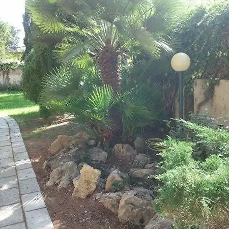 Edera Alghero