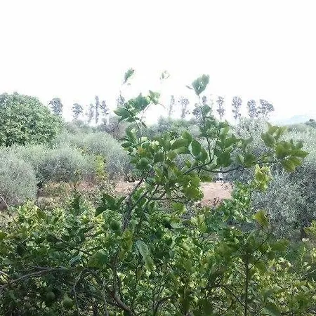 Edera Panzió 2*